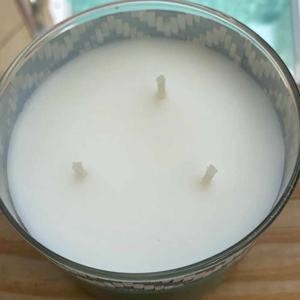 Bath & Body Works Bali Rainforest Orange & White Pineapple 3 Wick Candle